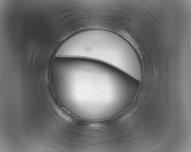 X0000074930441200609010923