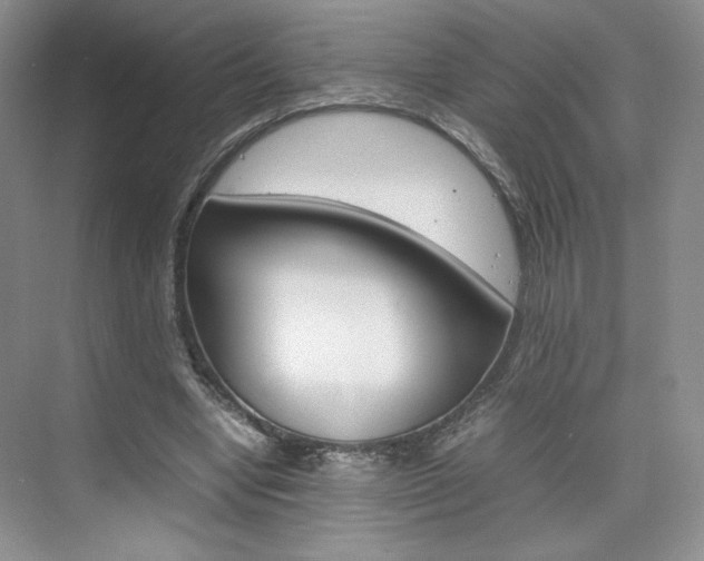 X0000074930442200609010923