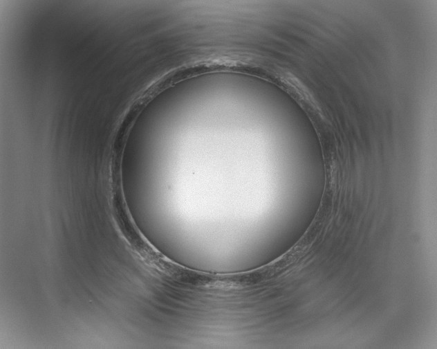 X0000074930444200609010923