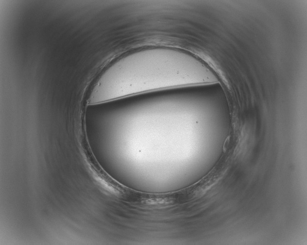 X0000074930445200609010923