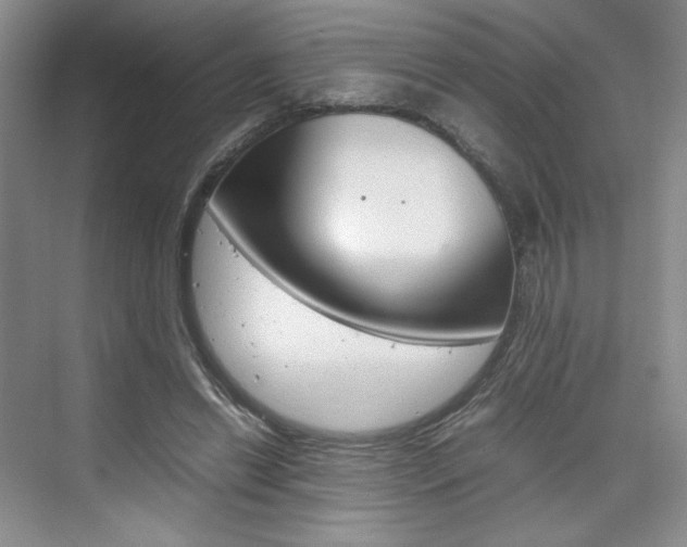 X0000074930446200609010923
