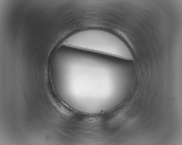 X0000074930447200609010923