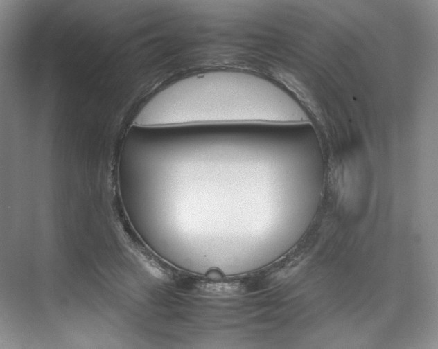 X0000074930449200609010923