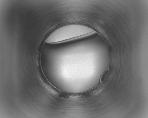 X0000074930450200609010923