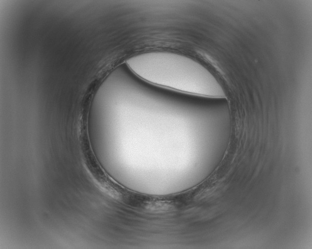 X0000074930451200609010923