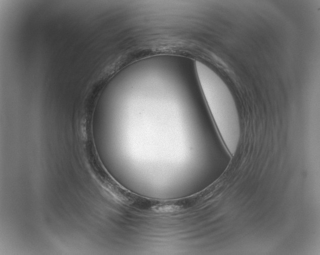 X0000074930452200609010923