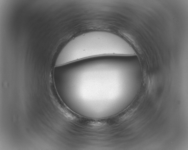 X0000074930453200609010923