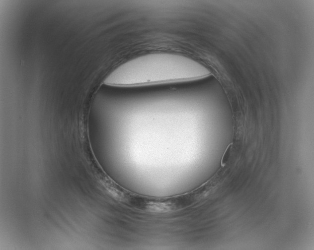 X0000074930457200609010923