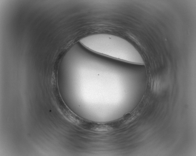 X0000074930459200609010923