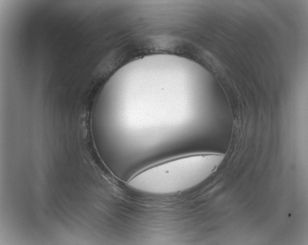 X0000074930462200609010923