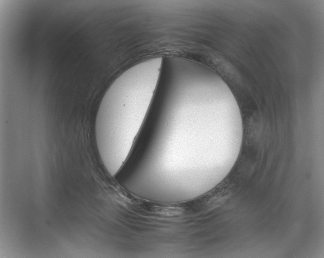 X0000074930463200609010923