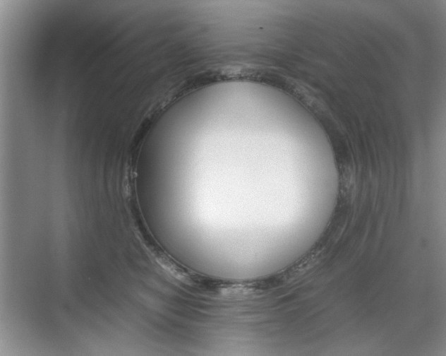X0000074930470200609010924