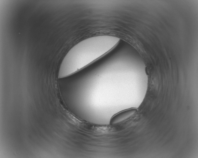 X0000074930473200609010924