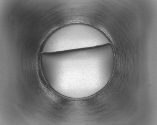 X0000074930482200609010923