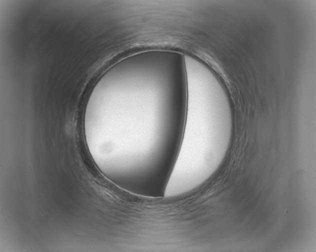 X0000074930483200609010923