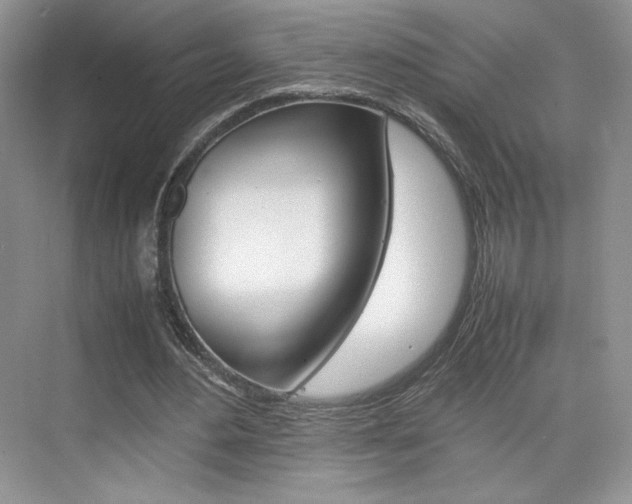 X0000074930484200609010923