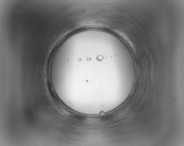 X0000074930487200609010923