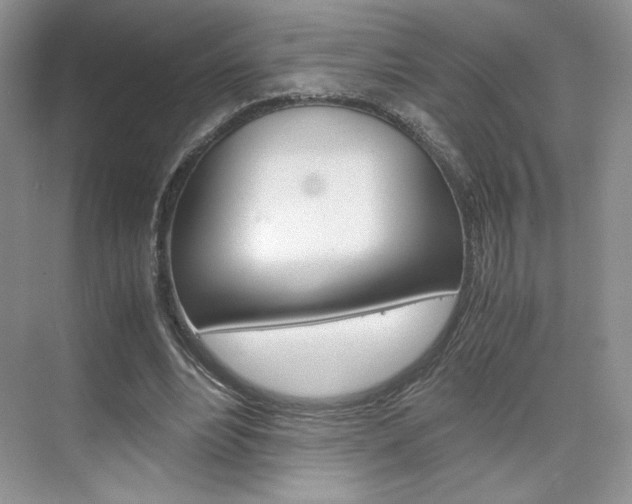 X0000074930488200609010923