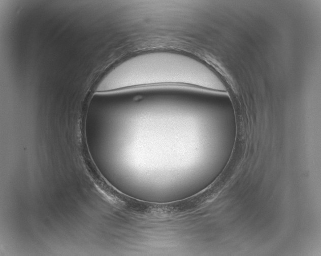 X0000074930489200609010923
