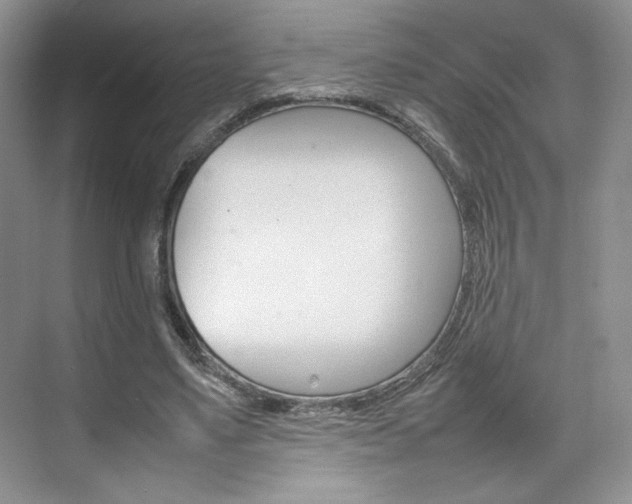 X0000074930491200609010923