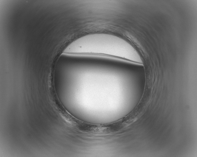 X0000074930497200609010923