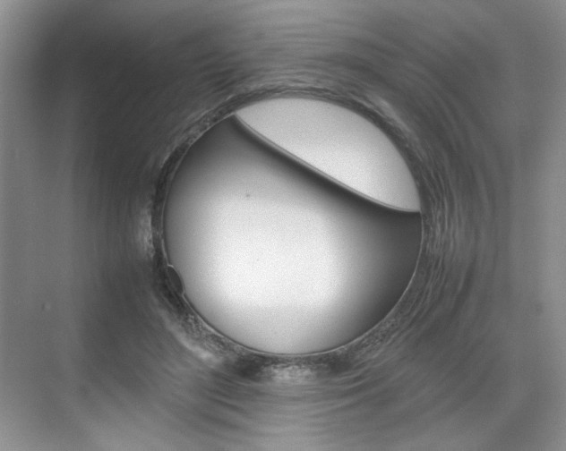 X0000074930500200609010923