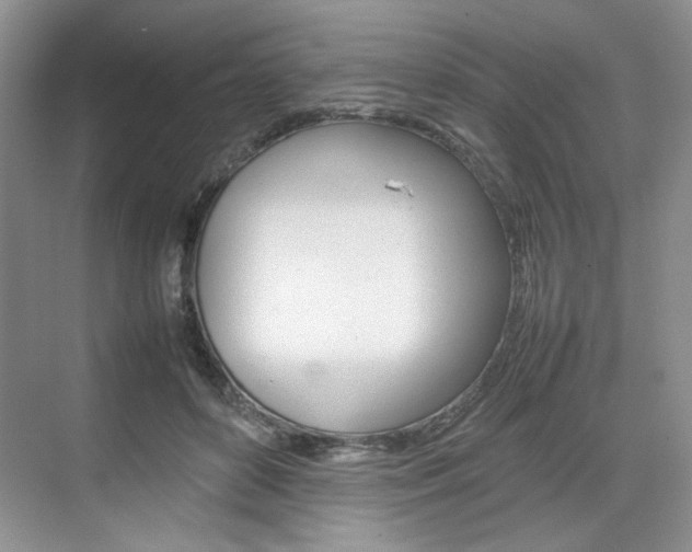 X0000074930504200609010923