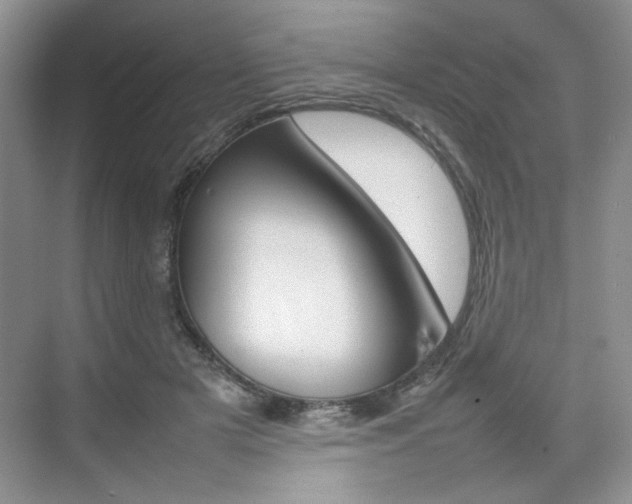 X0000074930505200609010923
