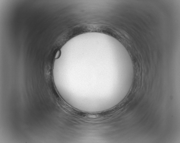 X0000074930507200609010923