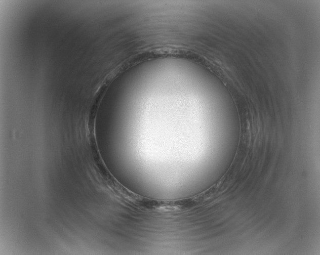 X0000074930508200609010922