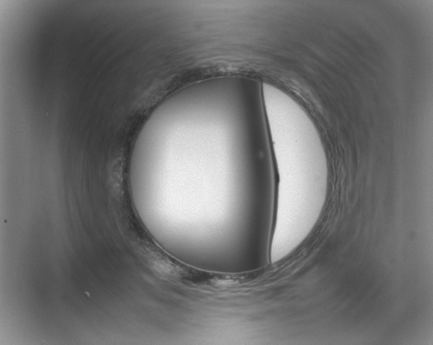X0000074930509200609010922