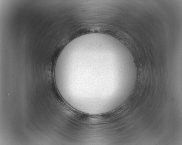X0000074930510200609010922