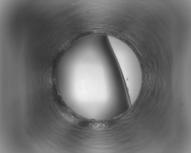 X0000074930512200609010922