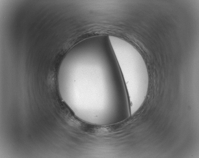 X0000074930513200609010922