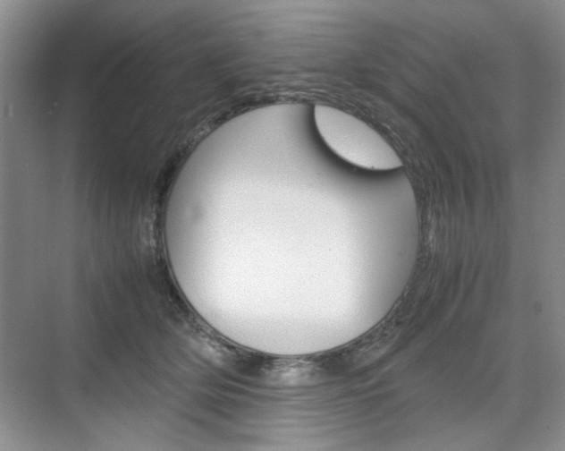 X0000074930514200609010922