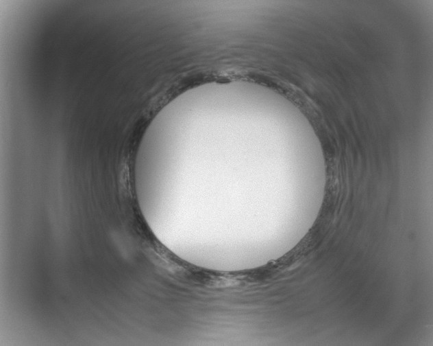 X0000074930523200609010922