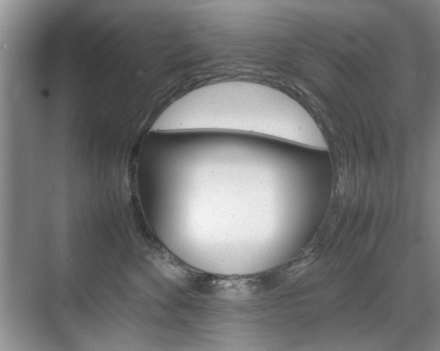 X0000074930524200609010922