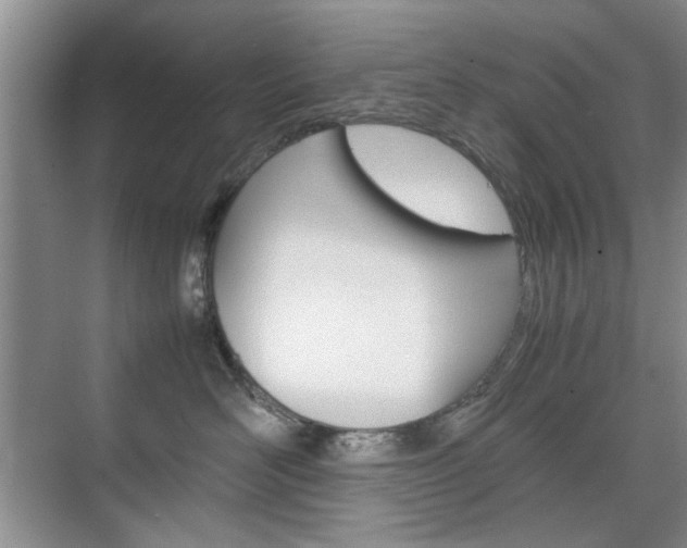 X0000074930526200609010922