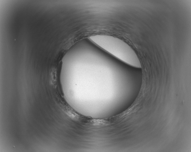 X0000074930528200609010922