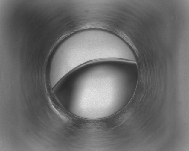 X0000074930530200609010921