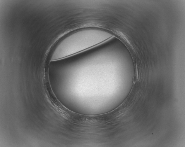 X0000074930531200609010921