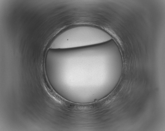 X0000074930533200609010921
