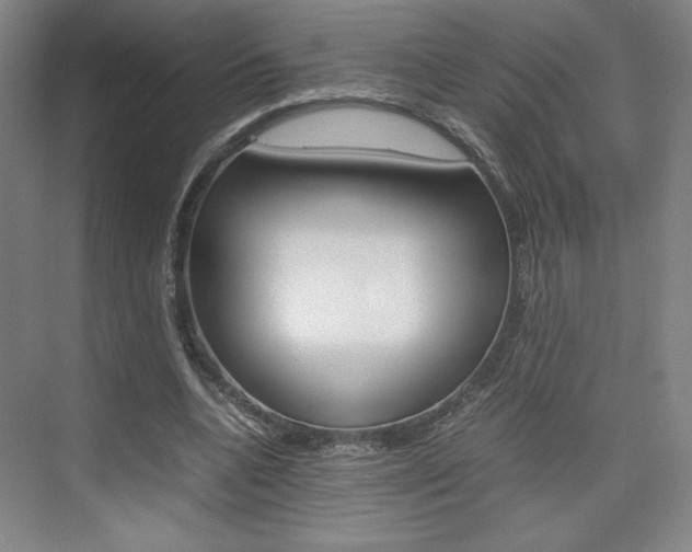 X0000074930536200609010921