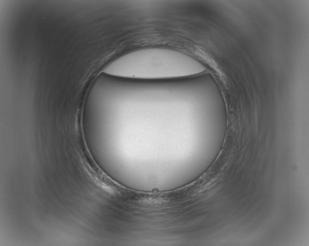 X0000074930537200609010921