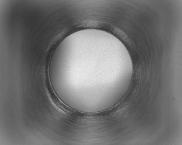X0000074930538200609010921