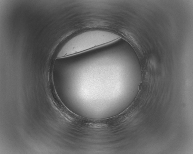 X0000074930539200609010922