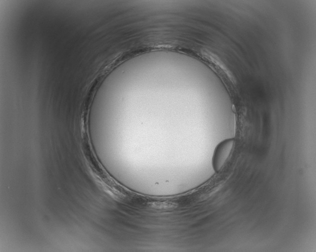 X0000074930541200609010922