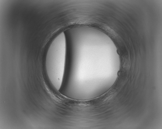 X0000074930542200609010922