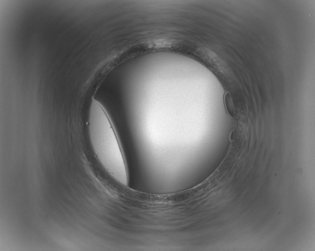 X0000074930543200609010922
