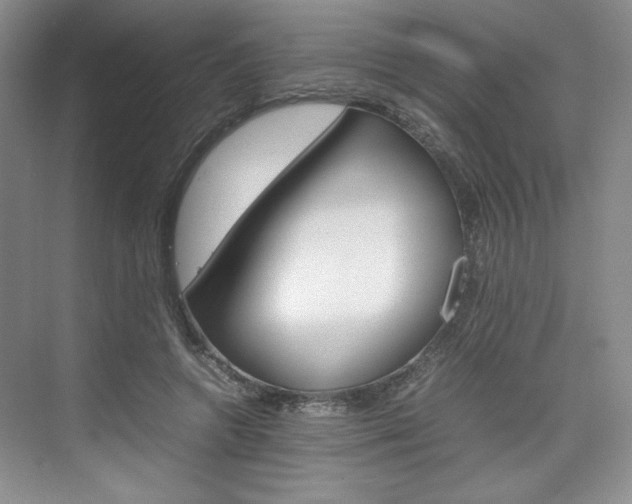 X0000074930546200609010922